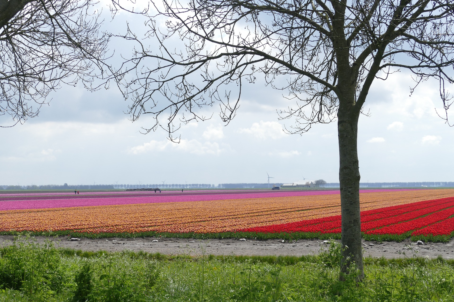 7 x de mooiste natuurcampings in Flevoland