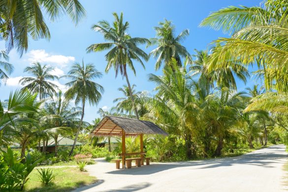 De ultieme vakantietips voor de herfstvakantie 2023