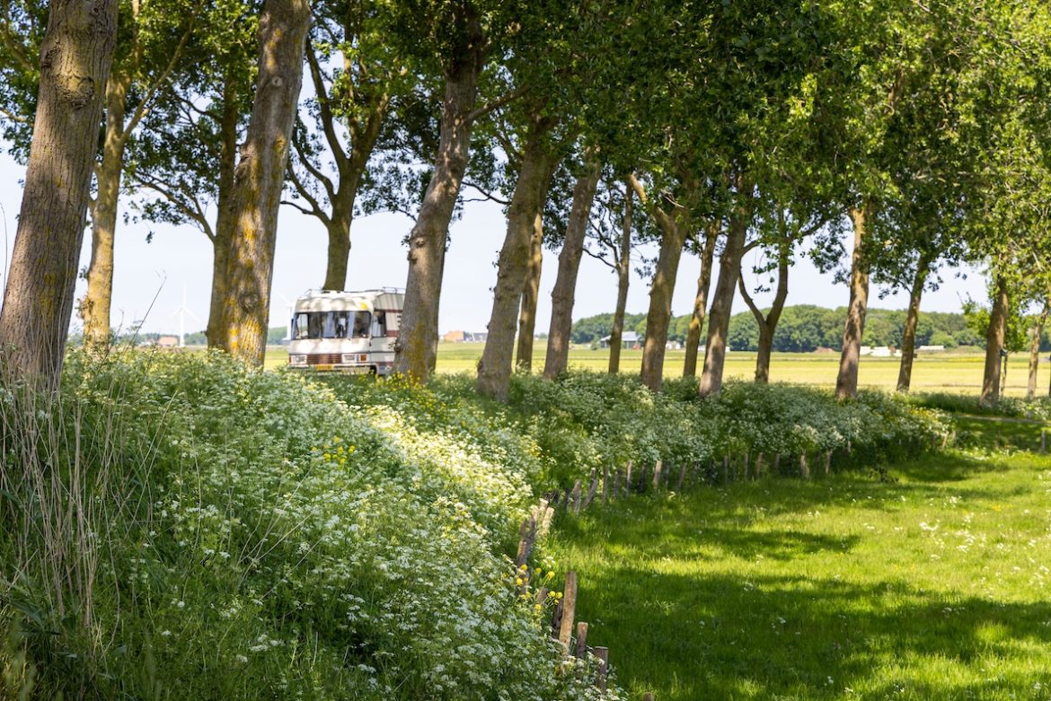 Bij Laaksum in Friesland Bij Laaksum in Friesland