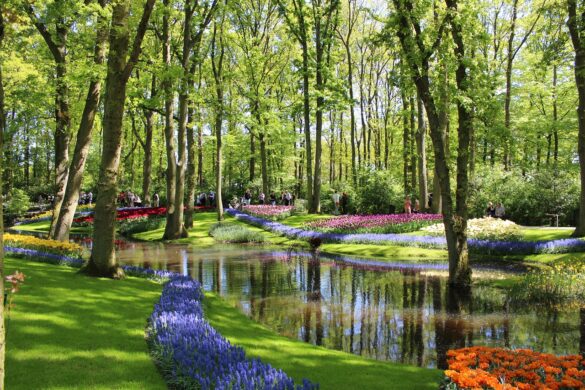 Top 10 mooiste dorpen in Zuid Holland